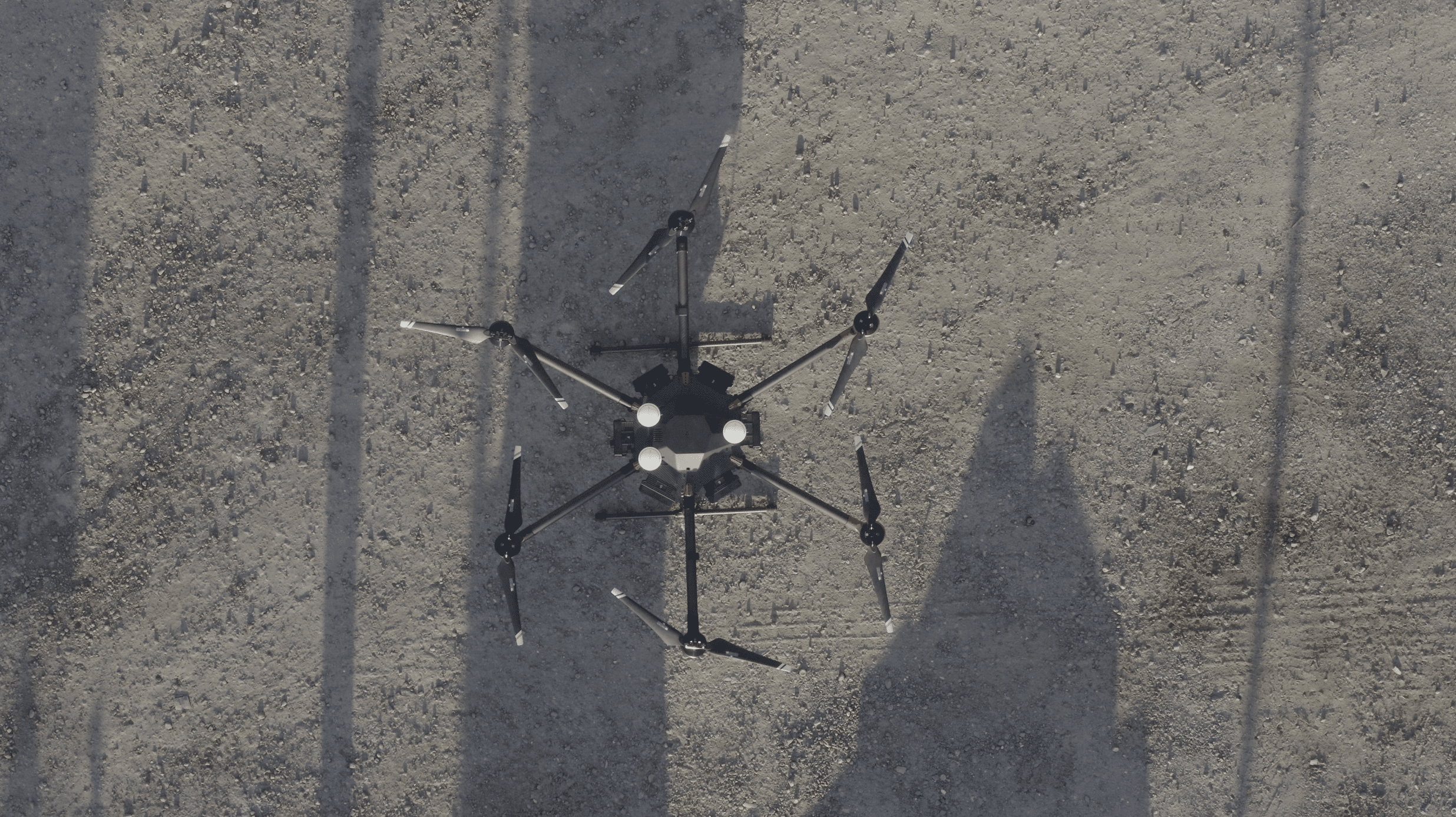 Avian M600